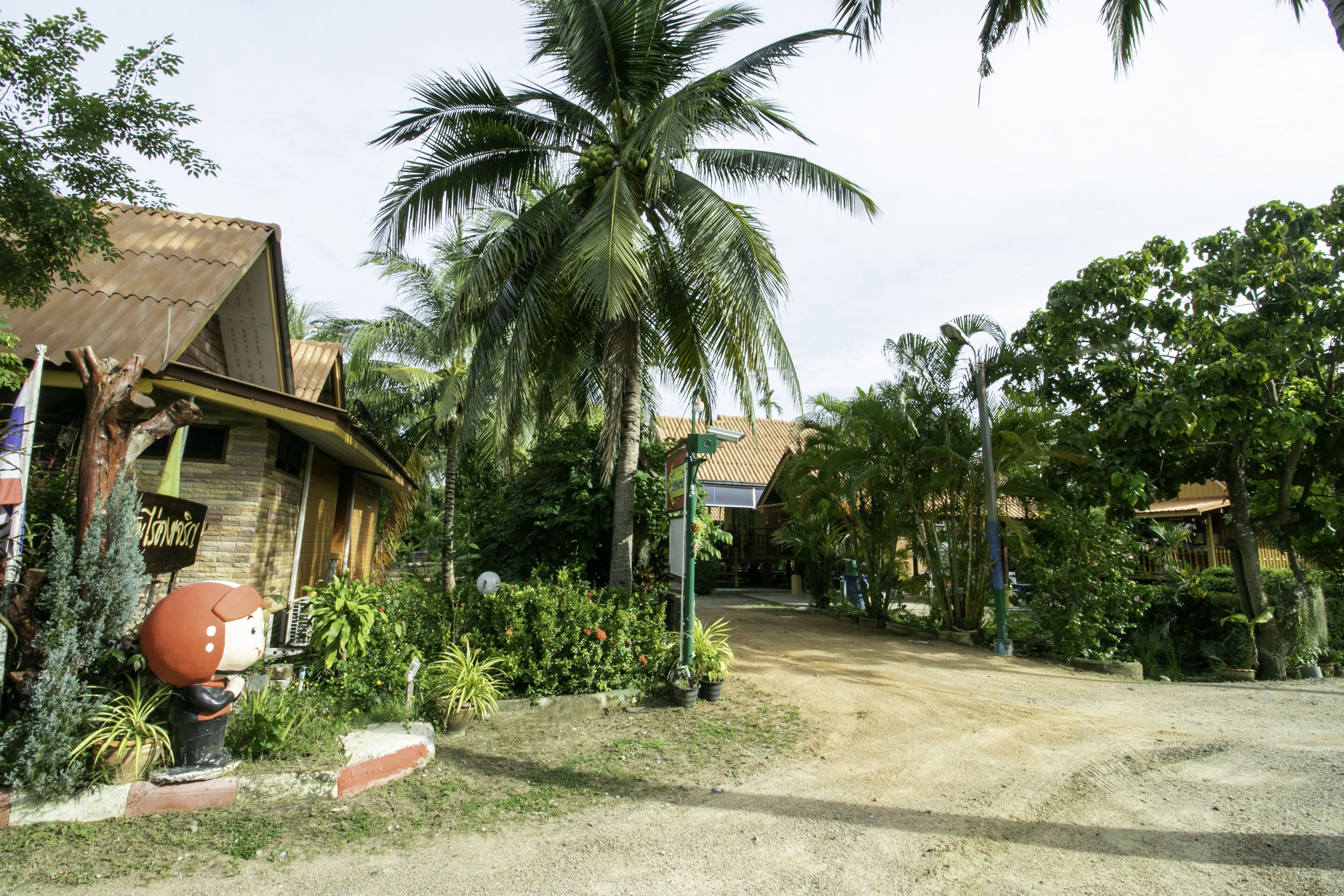 A rural setting with a dirt road, a palm tree, and a building with a corrugated metal roof.
