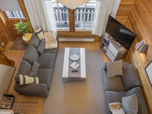 电视、DVD 播放器