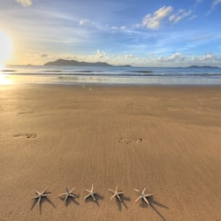 On the beach
