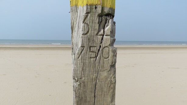 A weathered wooden post with numbers and letters carved into it, standing on a sandy beach with a clear sky in the background.