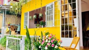 Restaurant - DOC BO HOMESTAY (Xuan Huong - Da Lat)