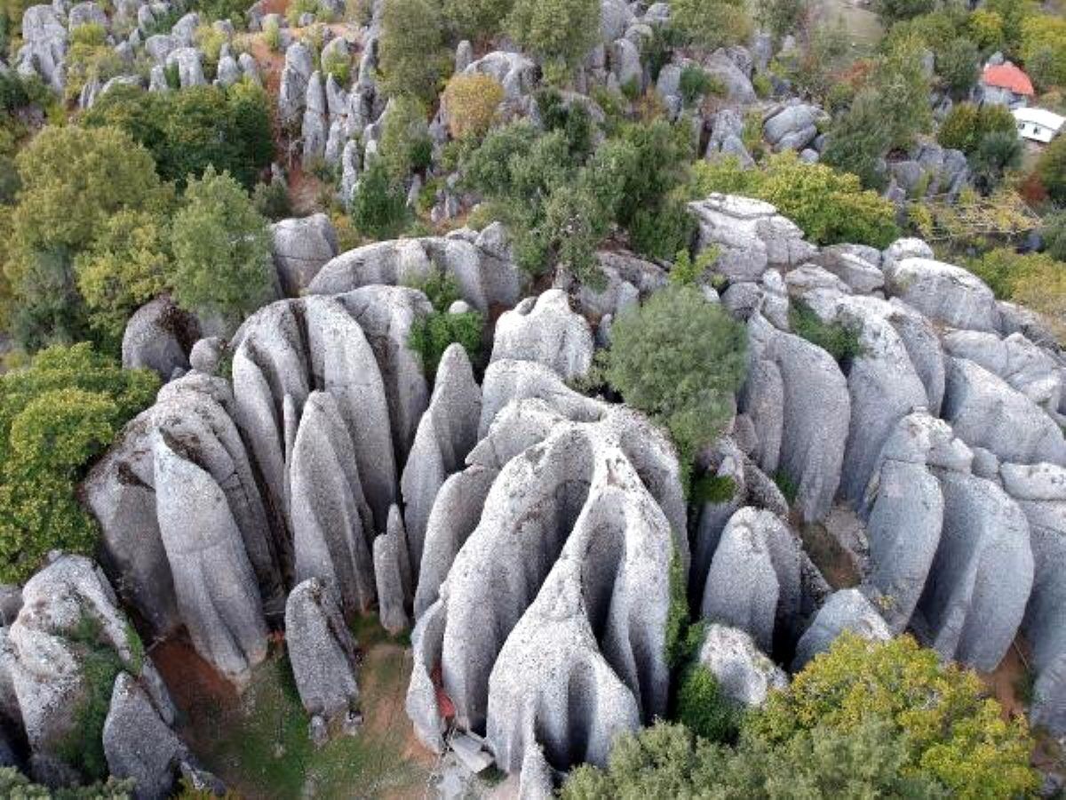 Un paisaje rocoso con formaciones singulares y vegetación circundante.