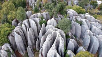 Un paisaje rocoso con formaciones singulares y vegetación circundante.