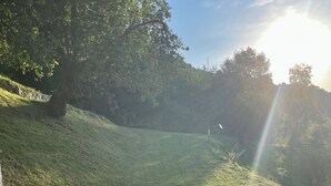 Une terrasse en bois avec une table et des chaises, donnant sur une colline verdoyante parsemée d’arbres.