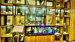 Un restaurante con estantes de madera y un acuario.