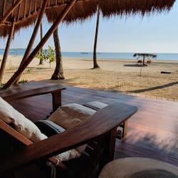 Vue sur la plage/l’océan