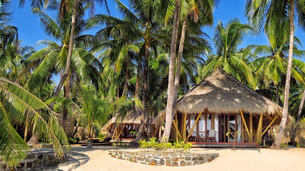 A beach resort with thatched-roof huts, palm trees, and a sandy beach.