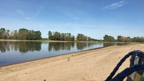 Una playa arenosa con un lago tranquilo, árboles al fondo y una vista parcial del interior de un vehículo.