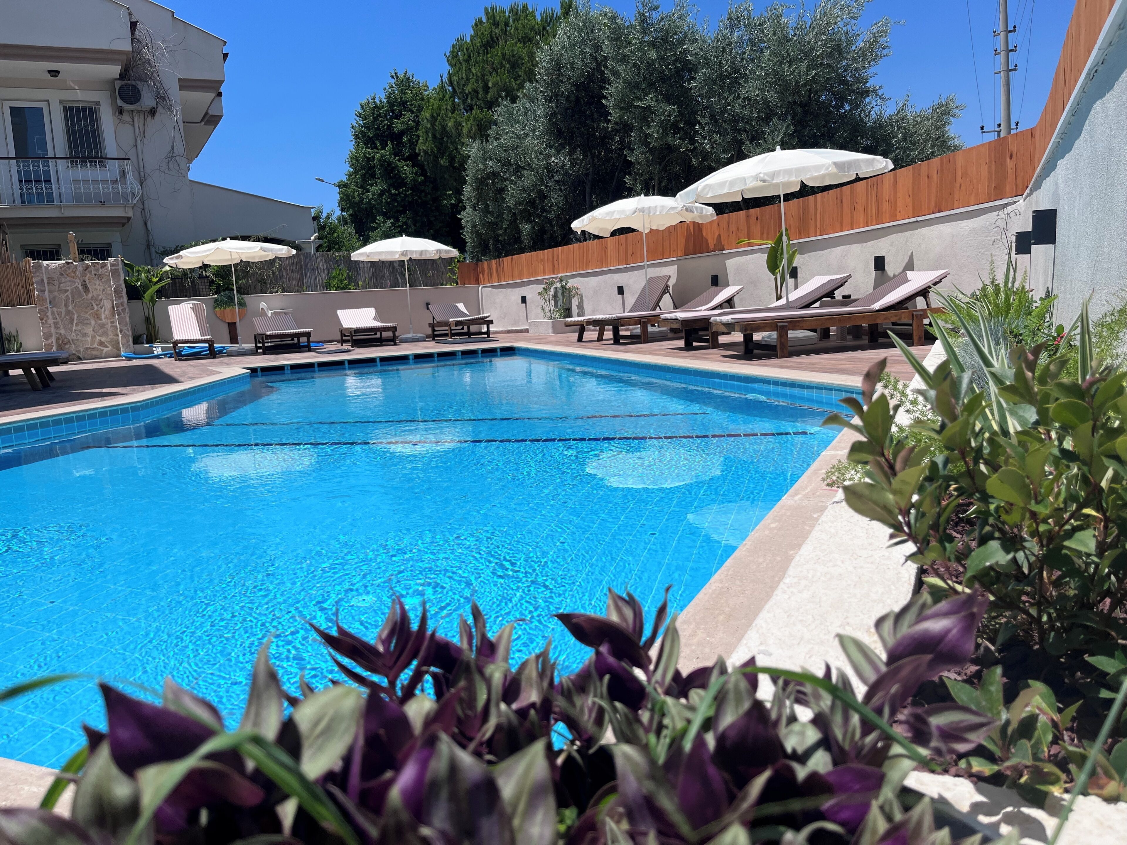 Seasonal outdoor pool, pool umbrellas, pool loungers