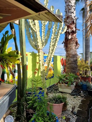 Àrea exterior de l'allotjament