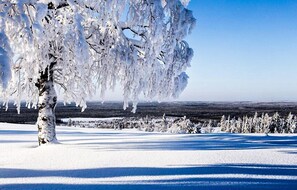 Schneebedeckte Landschaft mit einem Baum im Vordergrund und einer weiten, ebenen Fläche in der Ferne.