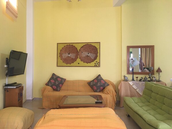 TV, DVD player, books, music library