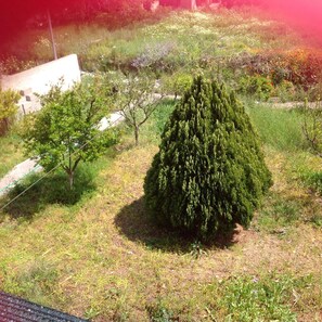 Property grounds - KATERINAS HOUSE.... ΚΑΤΟΙΚΙΑ ΣΕ ΔΥΟ ΟΡΟΦΟΥΣ (kissamos chania greece)