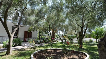 Basic Apartment | Terrace/patio