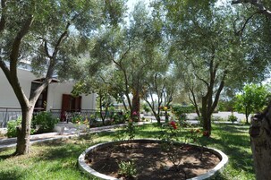 基础公寓 | 露台