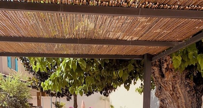 UZES A PIED : AIR-CONDITIONED VILLA - PRIVATE POOL - ENCLOSED GROUNDS