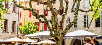 UZES A PIED : AIR-CONDITIONED VILLA - PRIVATE POOL - ENCLOSED GROUNDS