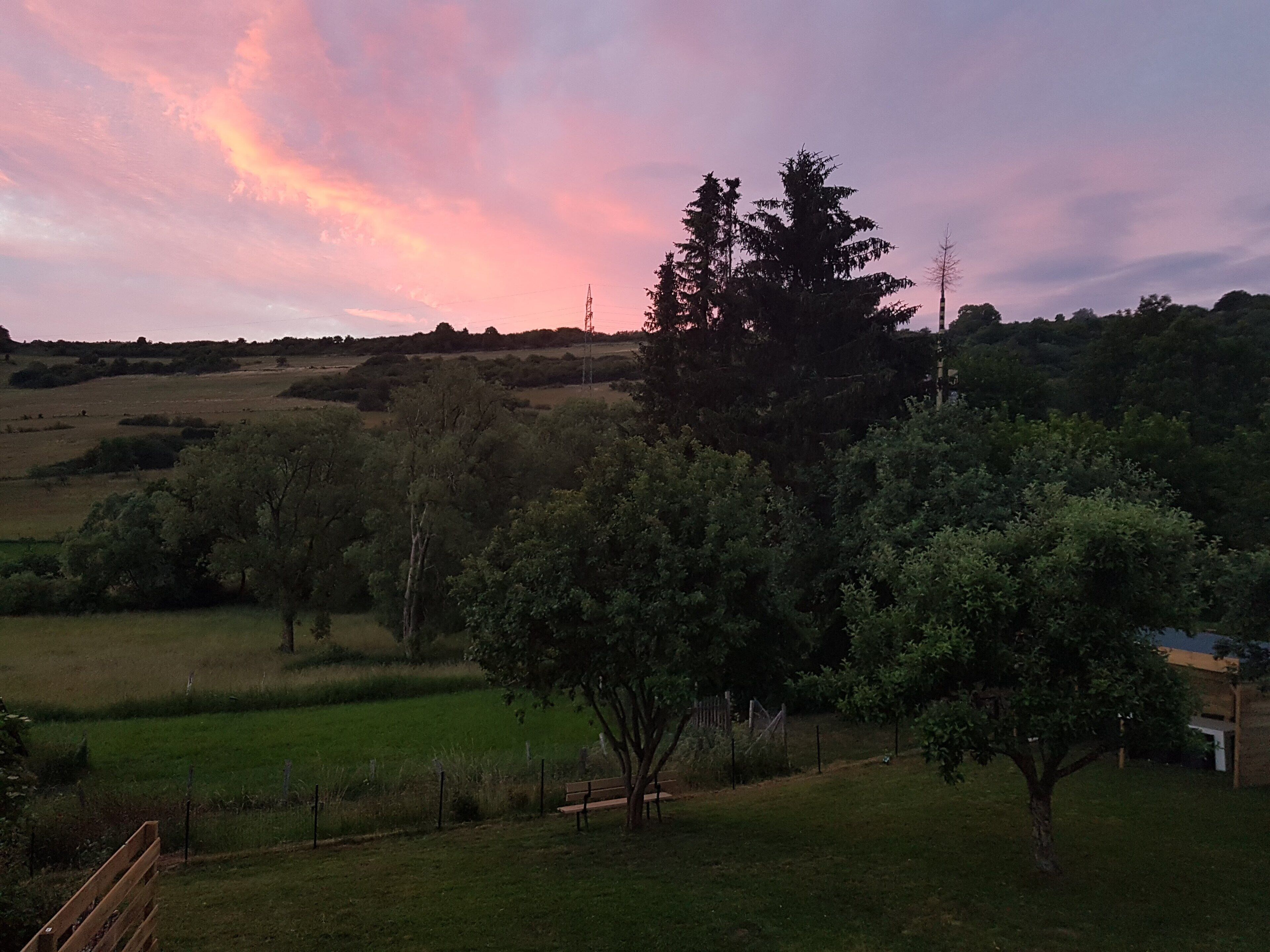 Un paysage rural avec des arbres, un champ herbeux et une colline au loin.