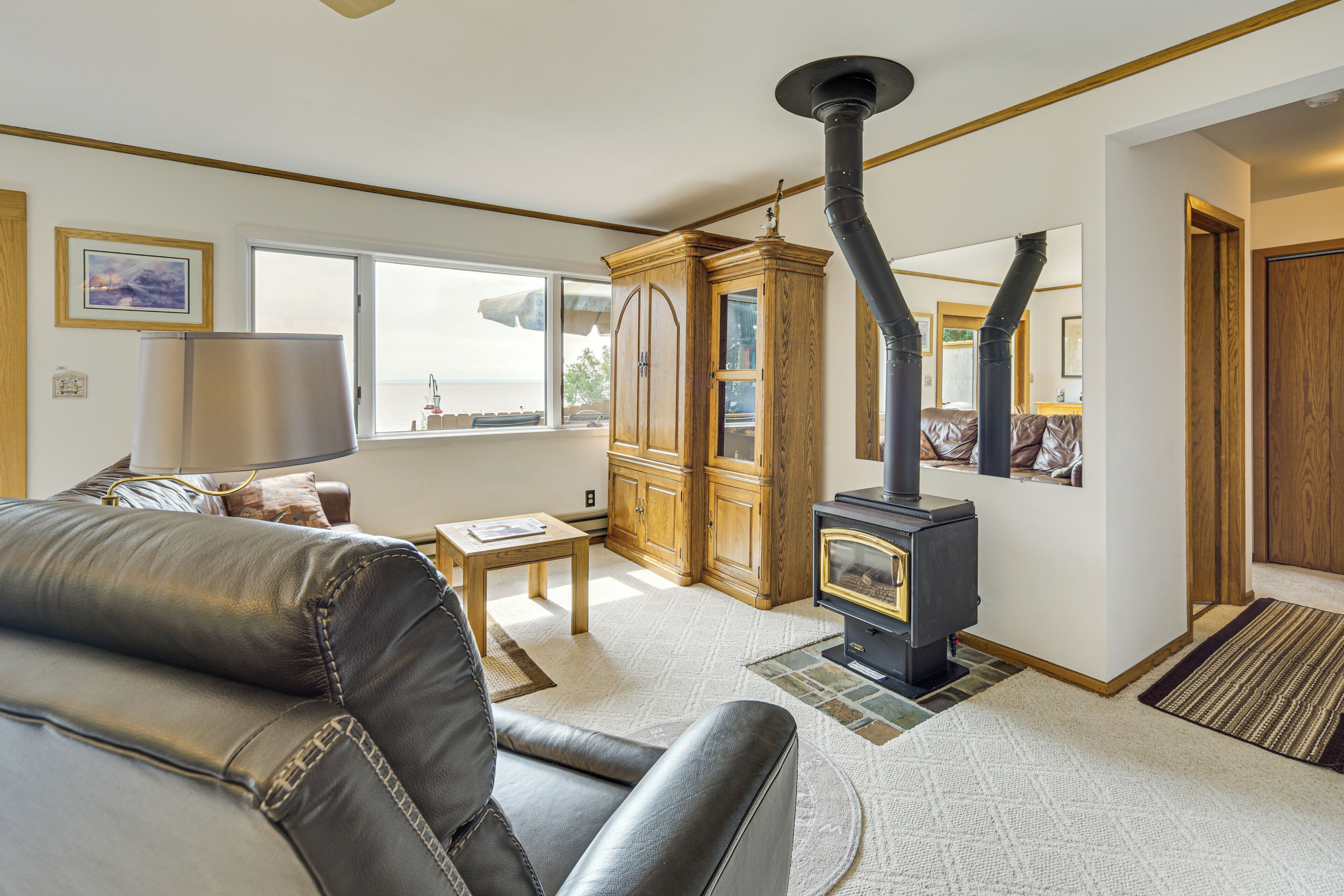 TV, fireplace, books