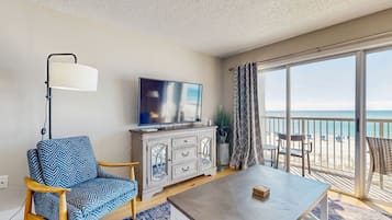 TV, DVD player, books, video library