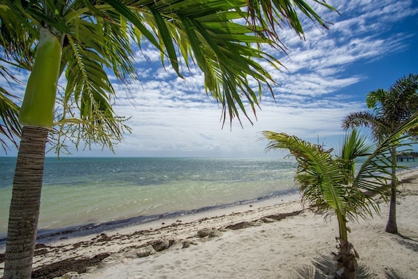 Beach nearby, beach towels