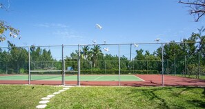 Niet-geclassificeerde afbeelding, 5 van 36, knop