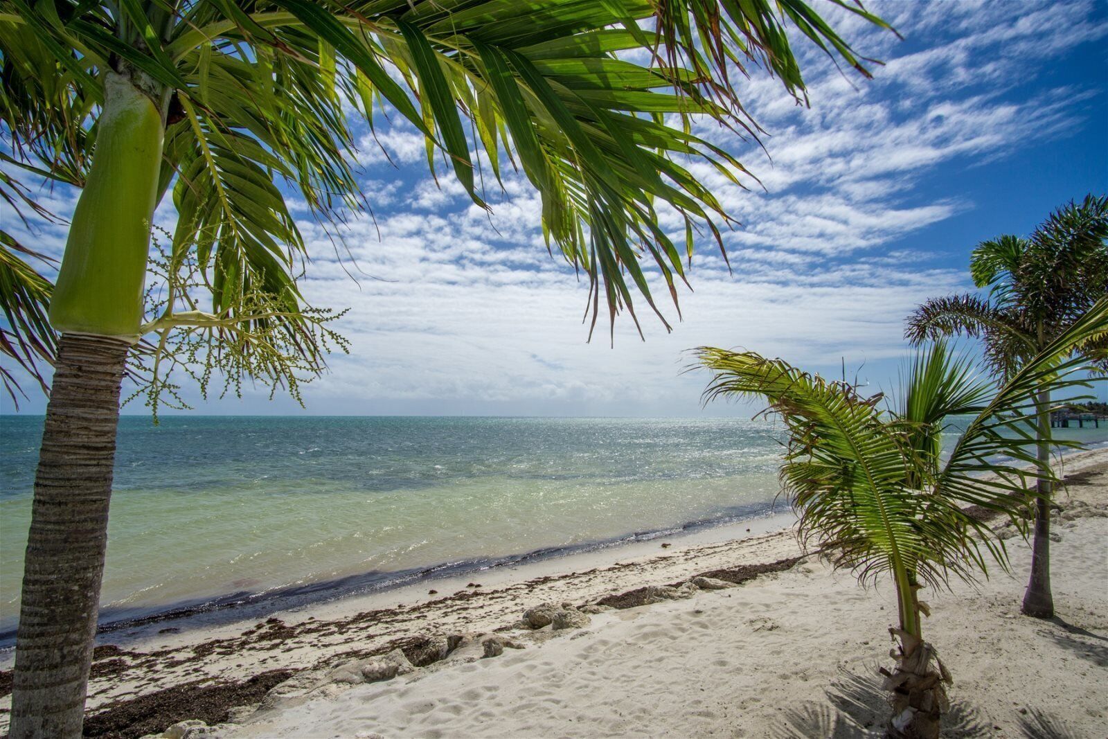 Am Strand, Strandtücher