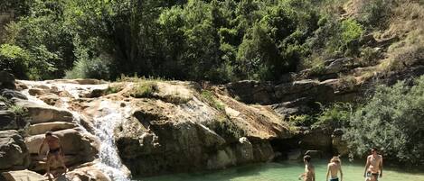 A natural pool with clear water, surrounded by rocks and greenery.