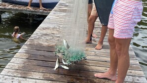 A wooden dock with people standing on it, a kayak, and a fishing net with fish.