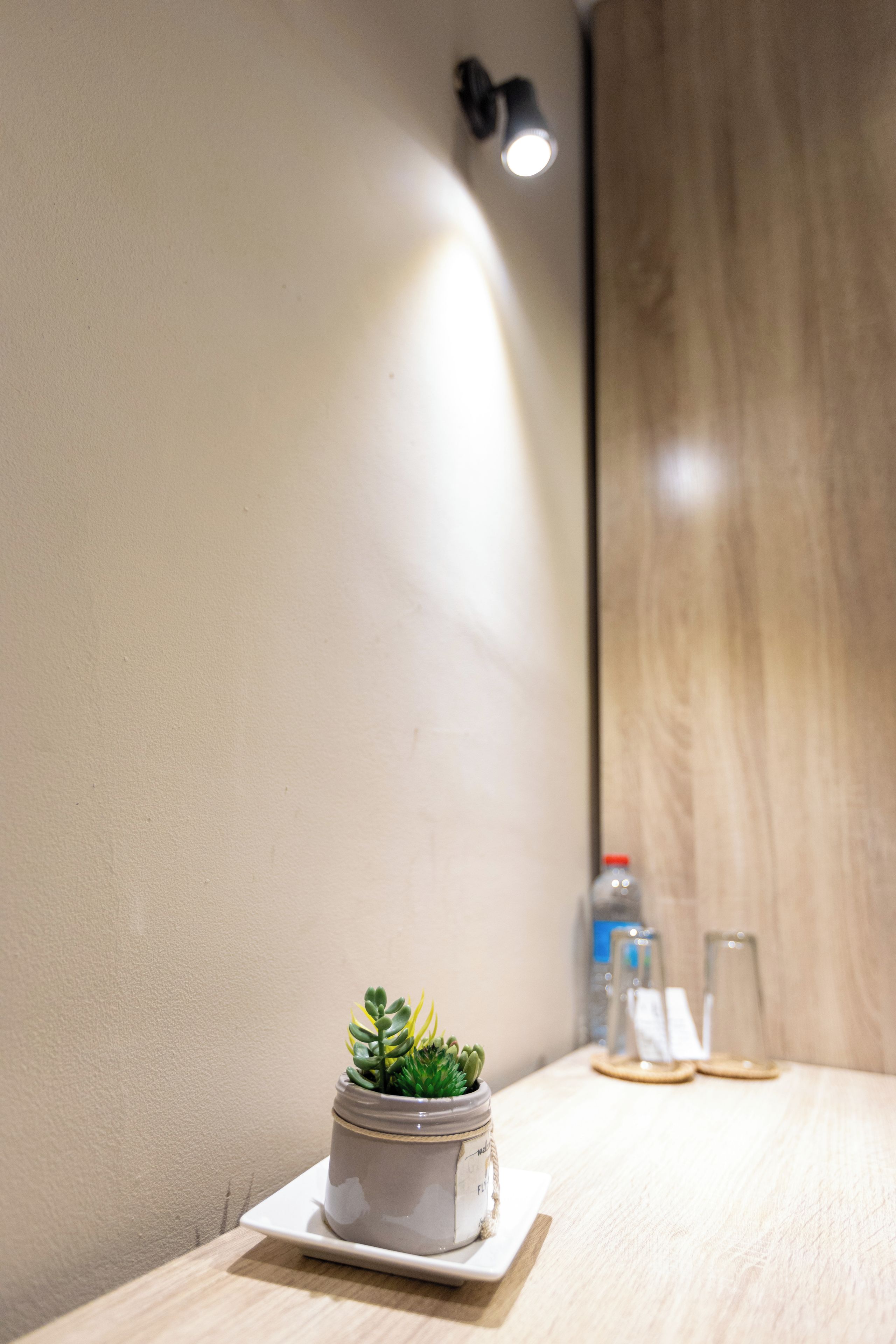 A small potted plant on a white square tray on a wooden table.