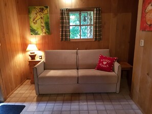TV, fireplace, DVD player, books