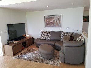 TV, fireplace, DVD player, books