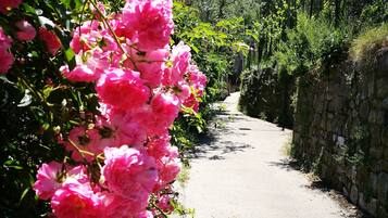 Parco della struttura
