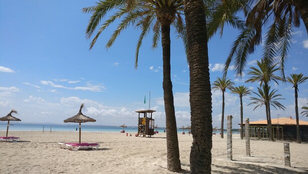 Een strand met palmbomen, strandparasols en een redershut.