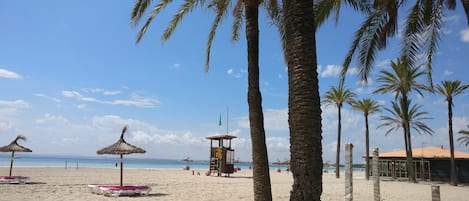 Plage à proximité, chaises longues, serviettes de plage