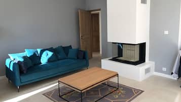 Télévision, cheminée, lecteur de DVD, livres