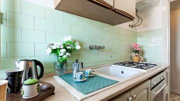 Fridge, oven, stovetop, electric kettle
