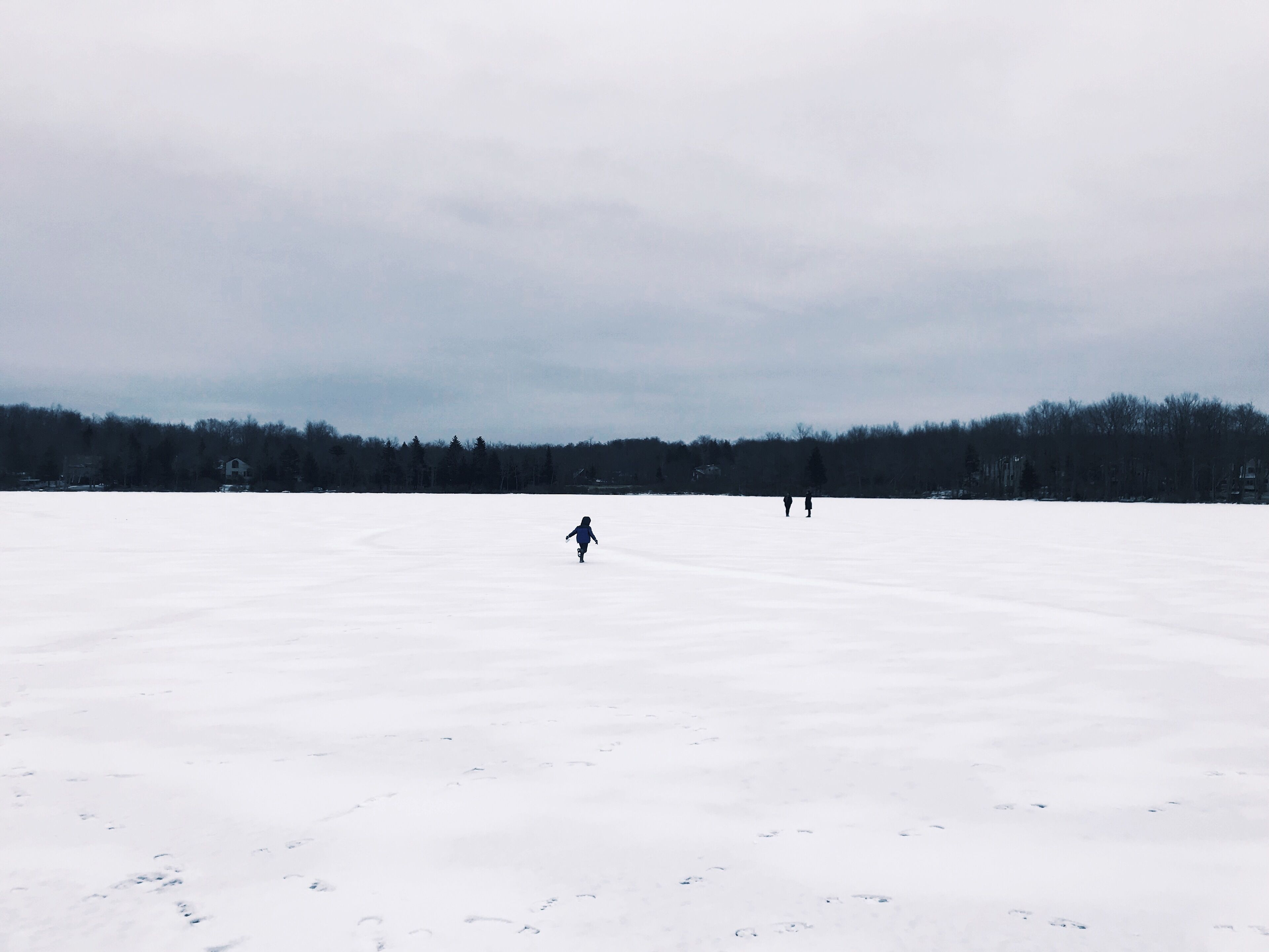 Sne- og skisport