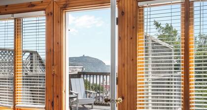 The View! Beautiful 4 BDR DOWNTOWN Heritage Home.