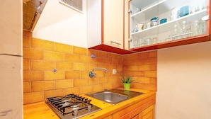 A kitchen with a gas stove, two sinks, wooden cabinets, and a potted plant.