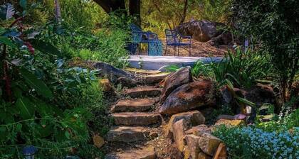 Your cozy nest while hiking in Sequoia Park with bonus nearby river beach pass!