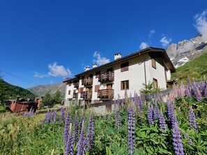 Exterior - Ski chalet Cervinia Martino e Bassi ski-in-ski-out 6 persons sunny balcony wifi (Breuil-Cervinia)
