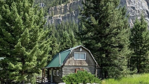 Une cabane rustique surmontée d’un toit végétalisé, entourée de grands pins et adossée à une montagne rocheuse.