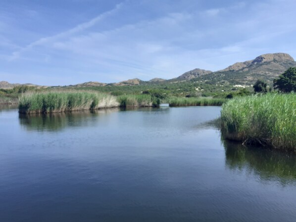 A calm river with grassy banks and a mountain in the background.