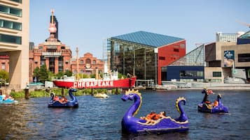 A waterfront area with swan-shaped boats and a red sign reading "CHESAPEAKE".