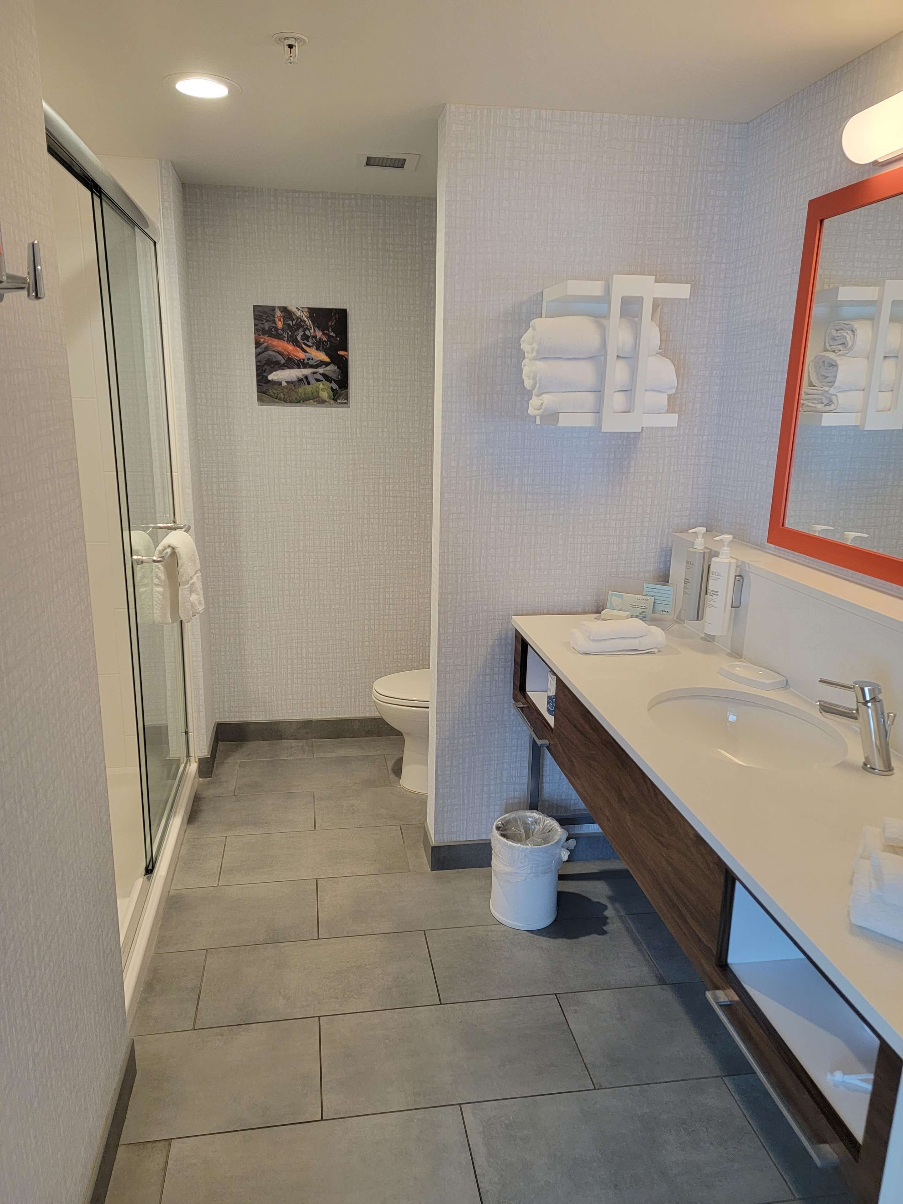 A modern bathroom with a glass shower enclosure, a toilet, and a vanity with a large mirror and multiple sinks.