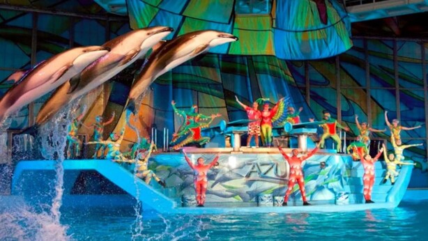 A dolphin show with performers on a boat, surrounded by water and a colorful backdrop.