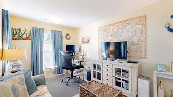 TV, video games, DVD player, video library