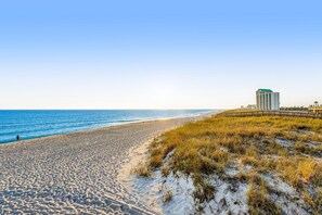 بالقرب من الشاطئ