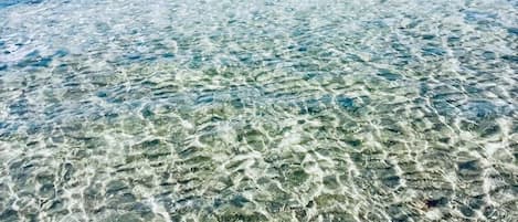En la playa, camastros y toallas de playa